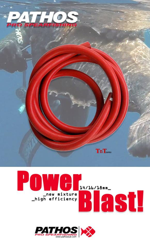 ELASTICO PATHOS RED TNT 14 MM M.Y. 2021 (CM) – Apnea Lab